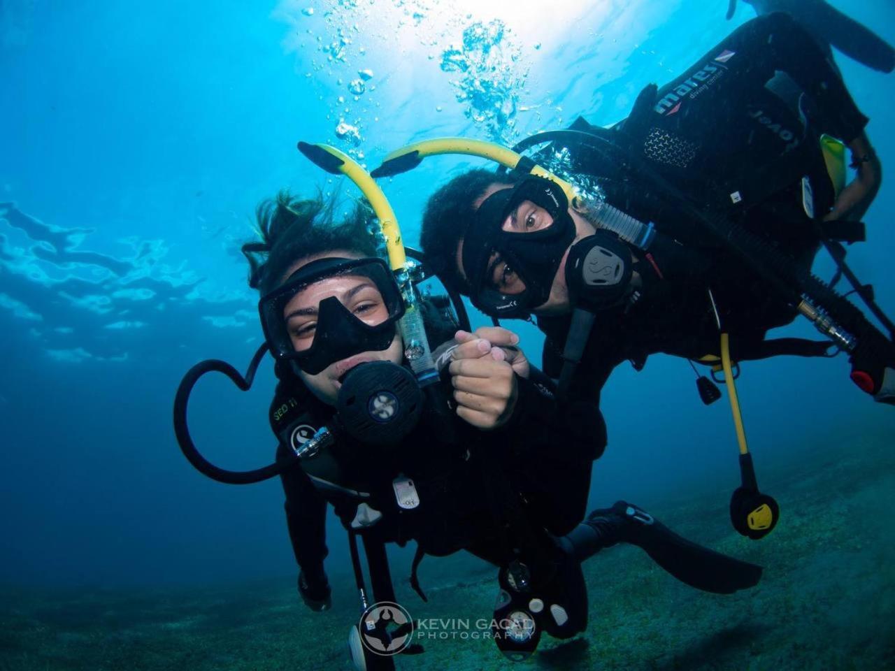 Vitaminsea Room 道因 外观 照片